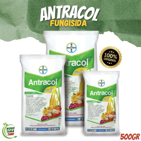 Jual Fungisida Antracol 70 WP 500 GR FUNGISIDA Original BAYER