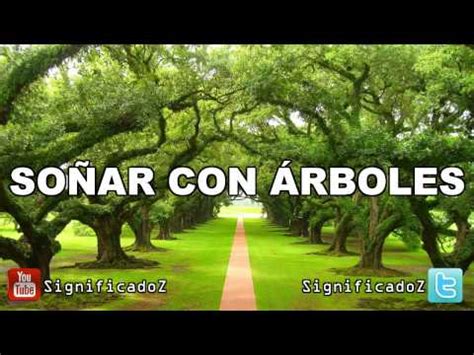 Descubre El Significado De So Ar Con Rboles Verdes Una Gu A Para