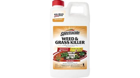 Best Weed Killers For Flower Beds That Will Keep Your Garden