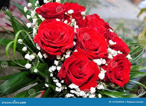 Ramalhete Lindo De Rosas Vermelhas Foto De Stock Imagem De Gota