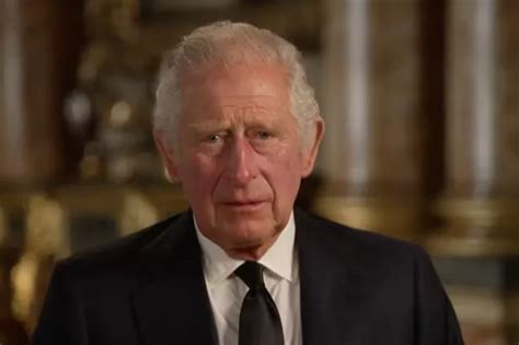 King Charles Iii Poses For First Ever Royal Portrait As Monarch With