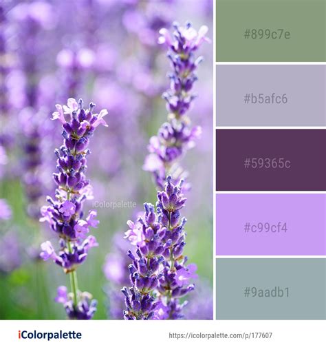 Color Palette Ideas Icolorpalette Colors Inspiration Graphics