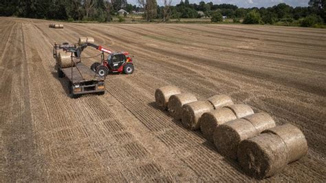 Kiev Denounces Eu Nations Plans To Extend Grain Import Ban