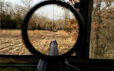 Vortex Viper Pst Gen Ii 1 6x24 Vmr 2 Moa Optics Review