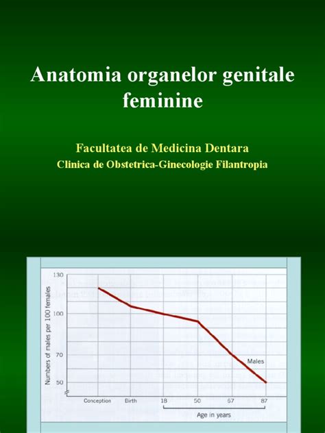 PDF 1 Anatomia Organelor Genitale Feminine DOKUMEN TIPS