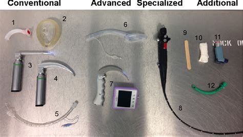 Figure 2 From Clinical Interventions In Aging Dovepress Anatomic And