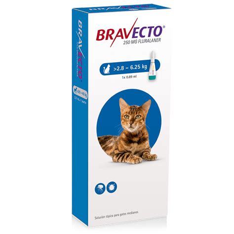 Bravecto Gato De 2 8Kg A 6 25Kg El Mundo De Las Mascotas