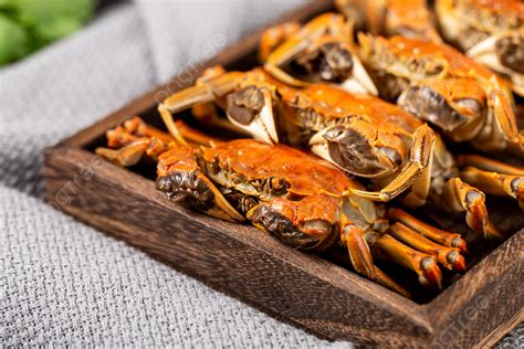 Productos Acu Ticos Frescos Yangcheng Lake Delicious Crab Fondos