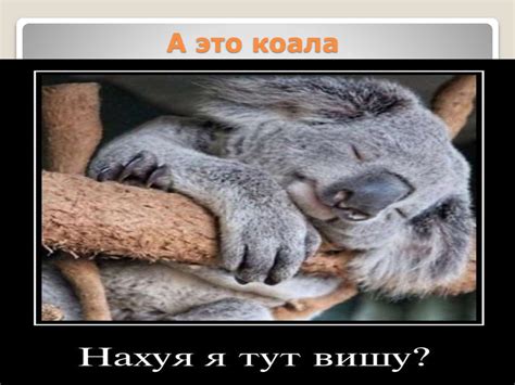 Наиболее развитые страны мира по уровню экономического развития ...