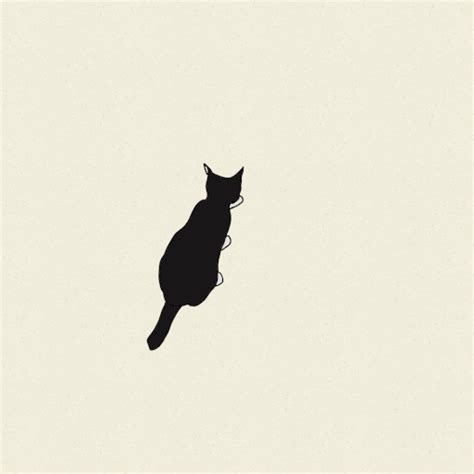 Animated Black Cat Gifs