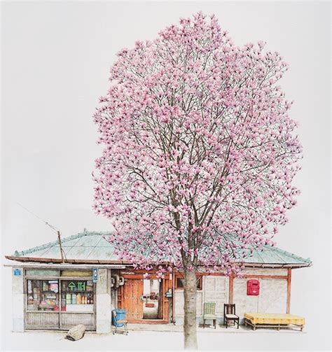 Convenience Store Drawings Of South Korea Offer Unique Look At Shops