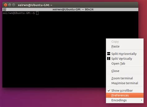 Guake Terminal Install Ubuntu Lasopachase