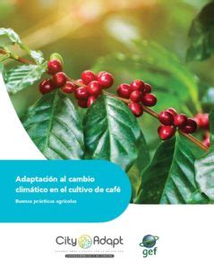 Adaptación al Cambio Climático en el Cultivo de Café CityAdapt