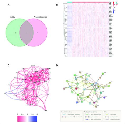 Identification Of The Candidate Ferroptosis Related Genes Frgs With Download Scientific