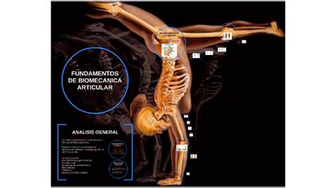 FUNDAMENTOS DE BIOMECANICA ARTICULAR By Jose Manuel Plata On Prezi