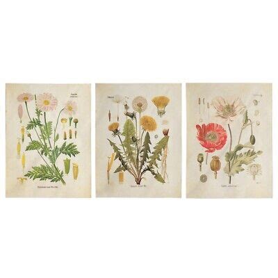 St Cke Tapisserie Wandbehang Wildblumen Pflanze Blumen Tapisserie