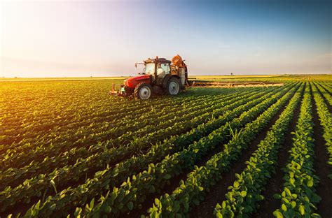 CAHNRS lands top 15 ranking for best U.S. agricultural sciences college ... 