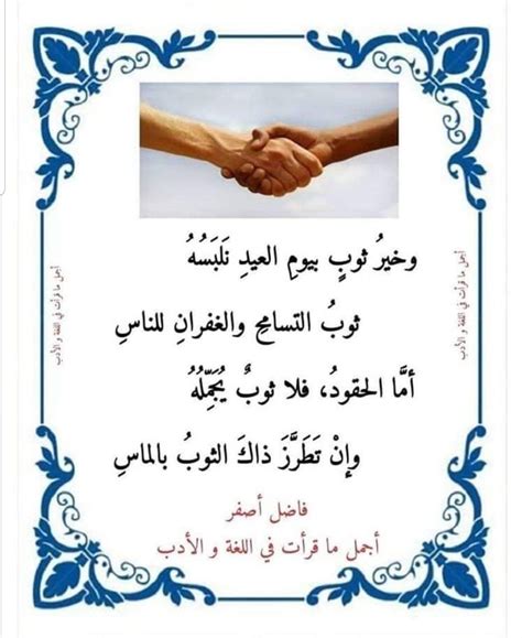 كلمات عن التسامح نيو