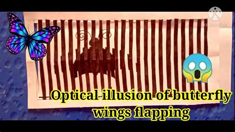 How To Draw Optical Illusion Of Butterfly Wings Flapping Very Easy To