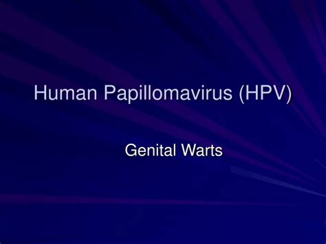 Ppt Human Papillomavirus Hpv Powerpoint Presentation Free Download Id9117365