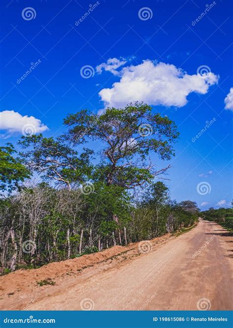 Rural Region Of The Brazilian Northeastern Interior The Semi Arid