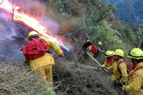 Perú Preocupa Aumento De Incendios Forestales Y Ausencia De Plan Para