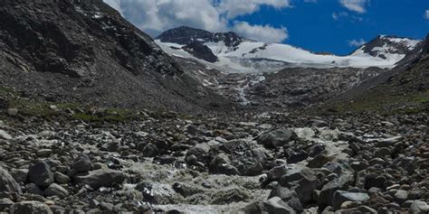 Vanishing Glaciers Threaten Alpine Biodiversity Research Aether