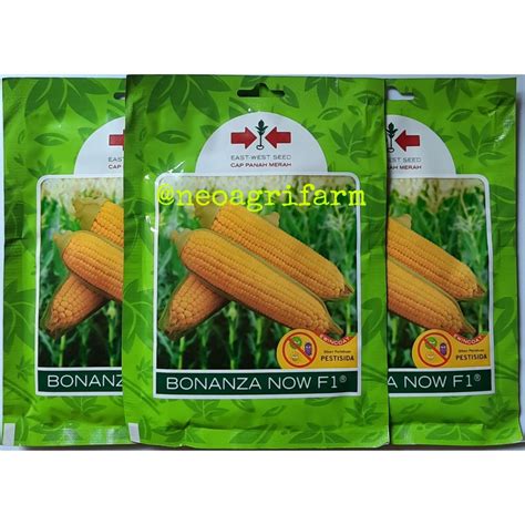 Jual Benih Jagung Manis Bonanza Now F Cap Panah Merah Shopee Indonesia