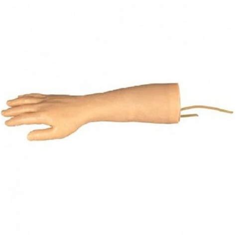 BOU HS3A IV Training Hand Model DARHMMY Manufacturer Of Human Medical