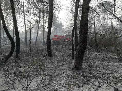 Gironde Un Hectare De Forêt Part En Fumée En Bord De Route à Saint