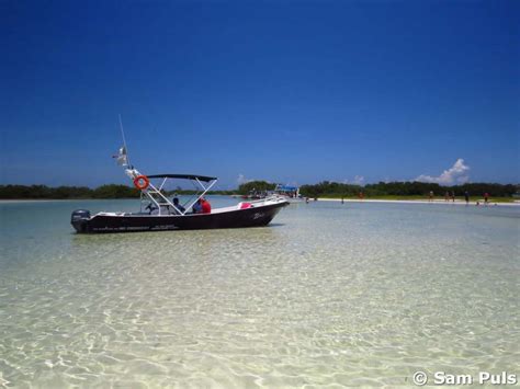 Isla Holbox: whale sharks and relaxing - Wildlife Impulse