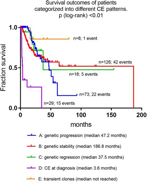 Detailed Analysis Of Clonal Evolution And Cytogenetic Evolution