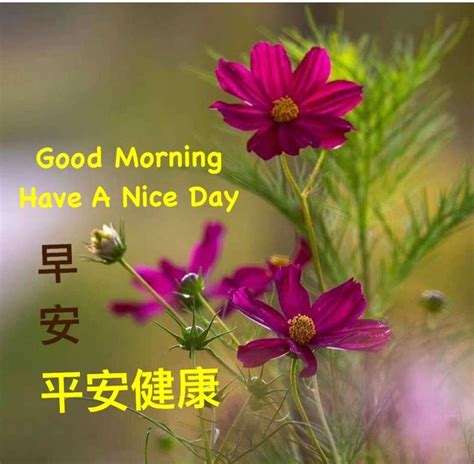 Pin By Francesca Goh On Chinese Quote Chinese Quotes Good Morning