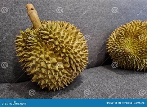 Durian Monthong Durian Is King Of Fruit Is Famous Asian Fruit Stock