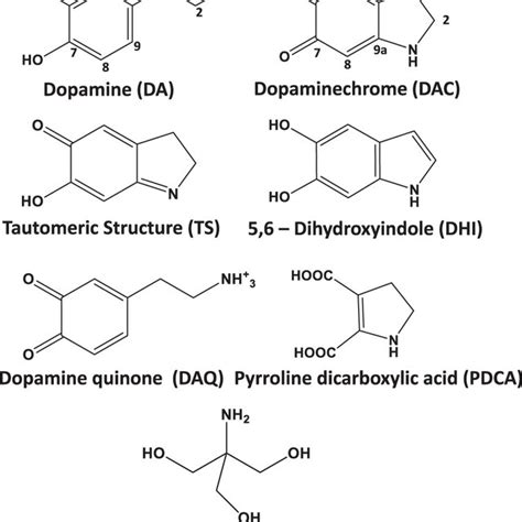 Building blocks of polydopamine Chemical structures of the expected ...