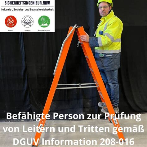 Online befähigte Person zur Prüfung von Leitern und Tritten elopage