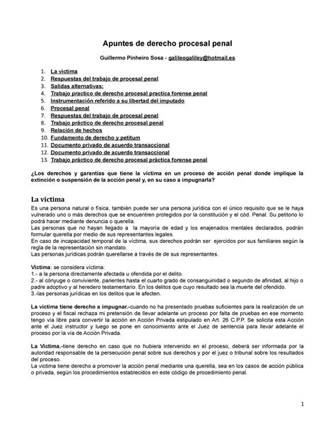 Apuntes Derecho Procesal Penal Apuntes De Derecho Procesal Penal