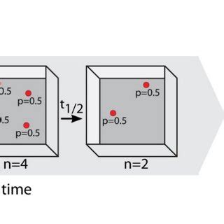 Radioactive isotopes display exponential decay. | Download Scientific ...
