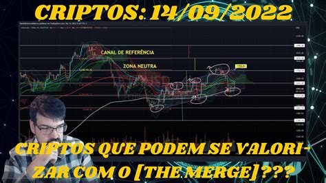 O Rapaz Das Cripto Criptos Que Podem Se Valorizar O