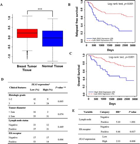 Ska3 Overexpression Promotes Cell Proliferation And Migration In Breast