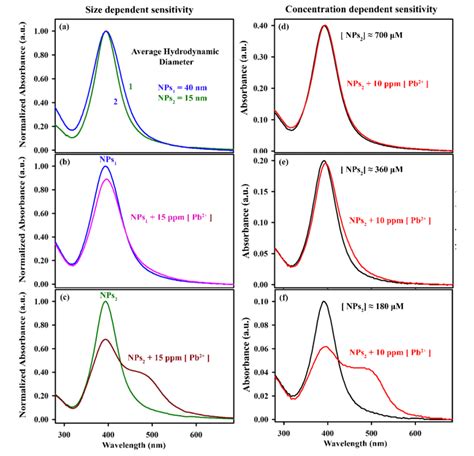 A Normalized Uv Vis Absorbance Spectra Of Two Sets Of Agnps Namely