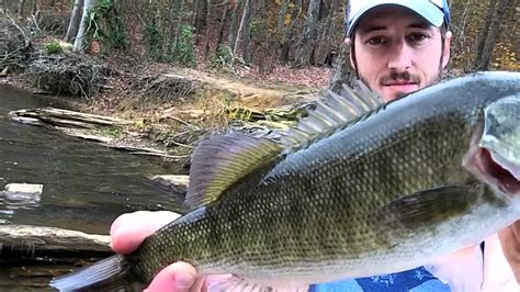 Georgia Bass Fishing Big Shoal Bass Bigger Spotted Bass Youtube