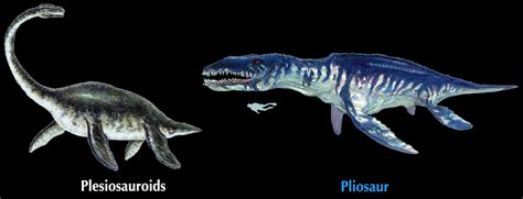 Pliosaur | Plesiosaurus | Vengeance from the Deep - Pliosaur