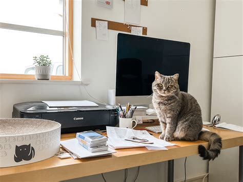 Small Business Survival: 10 Insights from a 10 Year Journey – Jin Designs