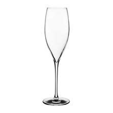 Shop GLASS COUPE ML NUDE PREMIER Chefs Hat