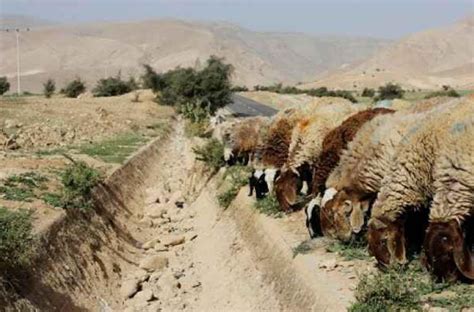 Palestine Climate Change RoadMap Assessment | ECO Consult