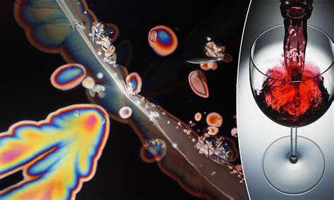 True Colour Of Wine Revealed Astonishing Close Up Images Of Alcoholic