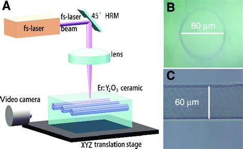 Experimental Setup Of Femtosecond Laser Direct Writing And Optical Download Scientific Diagram