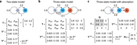 Markov Models—markov Chains Nature Methods