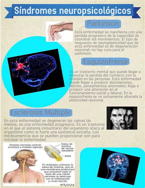 Portafolio Virtual Daño cerebral y plasticidad neuronal